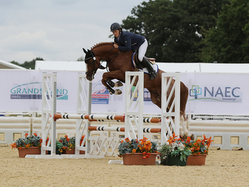 A new sponsor for the National 4 year old Championship at the British Showjumping National Championships A new sponsor for the National 4 year old Championship at the British Showjumping National Championships
